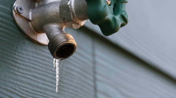 Best Plumbing Services Near Me  in Larksville, PA